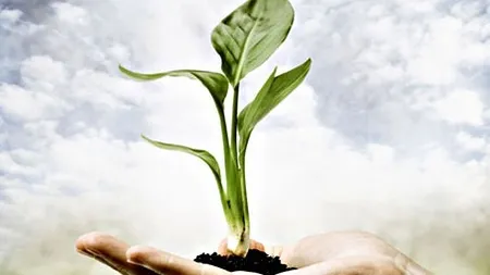 Secretele longevitatii unor afaceri de sute de ani: Cele mai vechi companii din lume