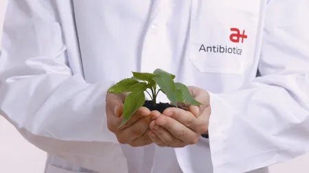 Antibiotice Iasi: De la primele 400 de grame de penicilina in 1955, la exporturi in 70 de tari