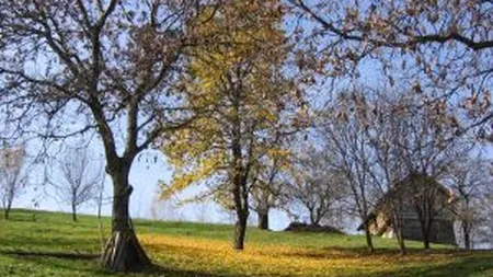 Iti doresti o vacanta de toamna la tara? Pensiunile anunta pachete de la 175 lei / 6 zile