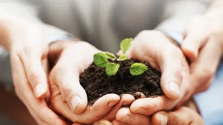 Avertisment pentru reasiguratori: Diferentiati-va pe piata sau riscati sa fiti tinta consolidarilor