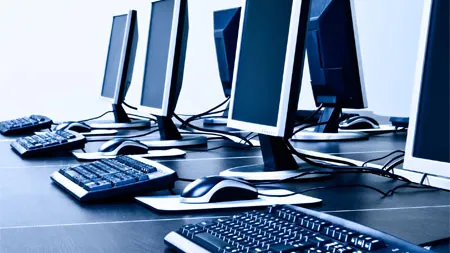 Sotii Fughina si Laszlo Kiss, retinuti in dosarul Ultra Pro Computers