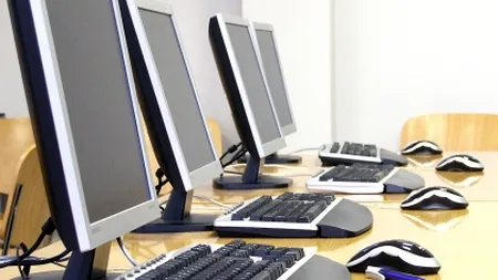 Patronii Ultra Pro Computers si avocata lor recunosc integral acuzatiile DIICOT privind devalizarea societatii