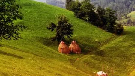 Imagini din Bucuresti si Romania rurala, promovate pe Twitter de un reporter National Geographic