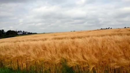 Romania va avea atasati agricoli din 2015. China, prima tara vizata