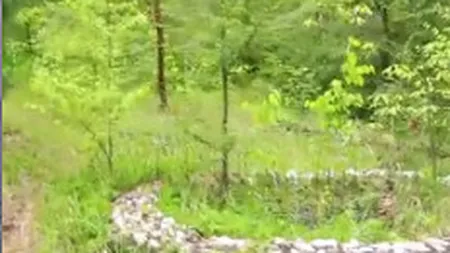 Dosarul retrocedarilor: Procurorii cer arestarea a sase persoane