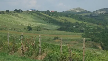 Tohani, un colt mediteranean pe locul unei foste mari