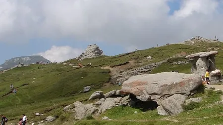 Top 10 cauze care ii mobilizeaza pe romani pe Internet