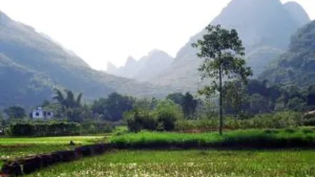 China isi trimite artistii, regizorii si producatorii TV la tara, la reeducare