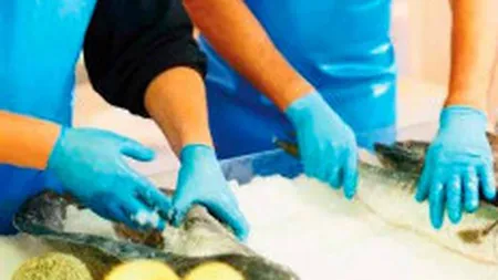 Industria care si-a redus datoriile la banci, dar nu isi poate plati toti furnizorii