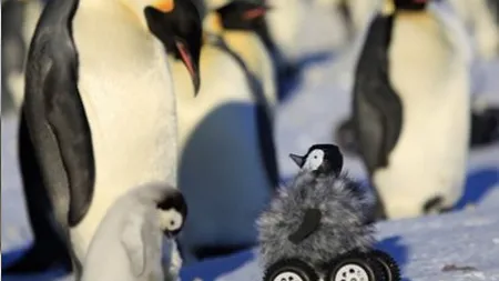 10 roboti care iti pandesc jobul