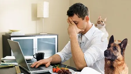 4 motive pentru care lucratul de acasa nu e chiar asa grozav precum crezi