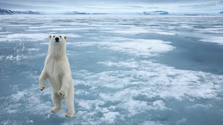 Prima tara din lume care emite pretentii asupra Polului Nord