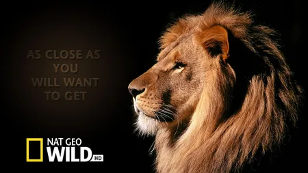 Discovery Networks incheie un parteneriat cu FIC pentru vanzarea de publicitate in Romania