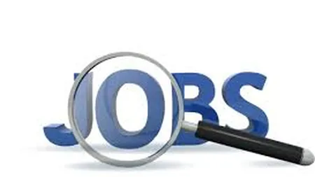 BestJobs: Numarul locurilor de munca a crescut cu 52% in 2014. Cei 8 mari angajatori