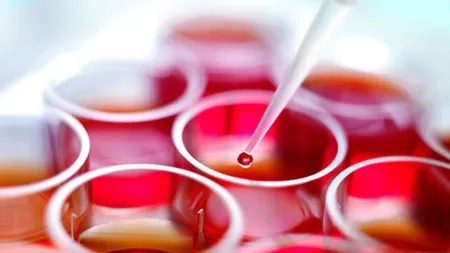 6 mituri false despre celulele stem