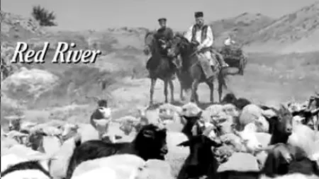 Aferim!, de Radu Jude, record absolut de spectatori pentru un film romanesc la lansare