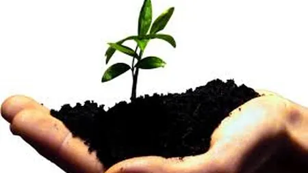 Cum sa pornesti un business in 6 pasi