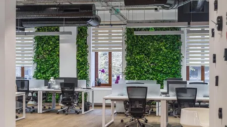 Cele mai mari bugete pentru amenajarea birourilor, alocate de companiile farma si IT