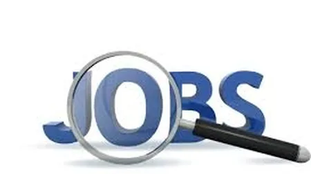 Cate locuri de munca ar putea fi create prin noul Cod fiscal in cinci ani