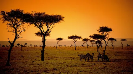 Ce profil au romanii care isi permit vacante de zeci de mii de euro