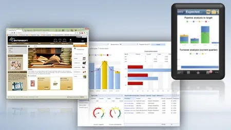 Entersoft: Pana la sfarsitul anului vom gestiona activitatea a cel putin 35% din industria de editare de carte