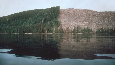 Cat lemn a fost taiat anul trecut in Romania