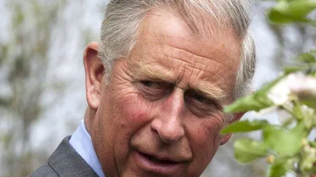 Printul Charles isi lanseaza propria fundatie in Romania