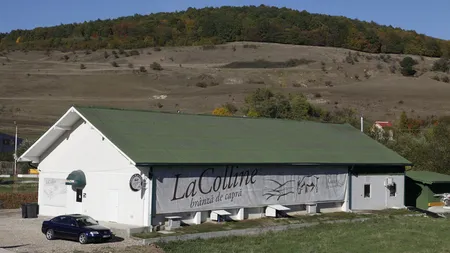 LaColline estimeaza cresterea vanzarilor cu 15 % dupa reducerea TVA la alimente