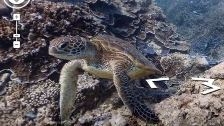 Google Street View a inceput sa exploreze situri subacvatice