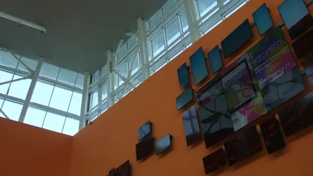 Samsung: Piata europeana de afisaj digital se va dubla in 5 ani