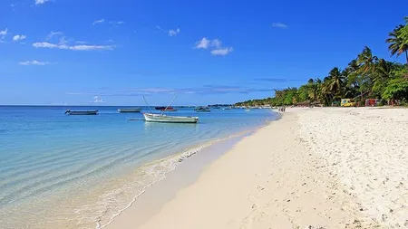 Cati clienti isi schimba planurile de vacanta in urma documentarii online