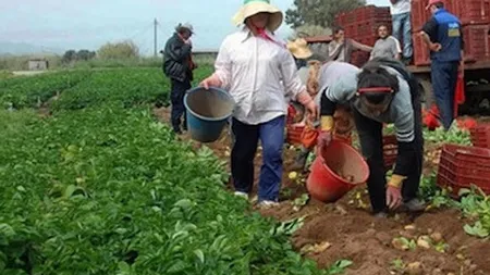 Ce se intampla cu romanii din Grecia in contextul lipsei de cash?