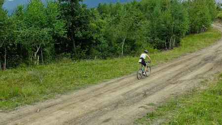 Profilul participantului la triatlon în România