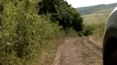 Motivul neobisnuit pentru care a fost blocat proiectul de reabilitare a unui drum din Cluj