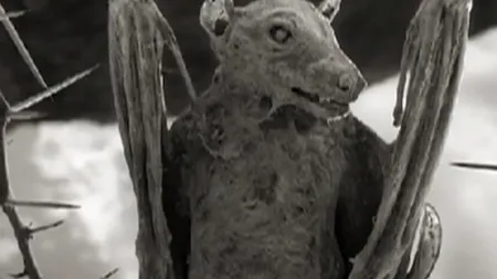 Infernul de apa: Lacul care transforma orice vietate in statui de piatra (Video)