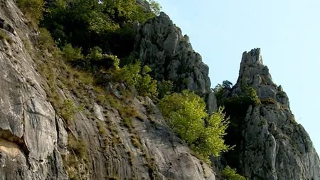 A doua rezervație a biosferei din România, după Delta Dunării