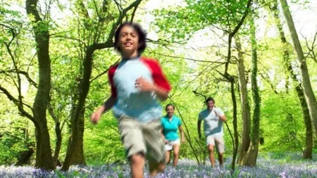 Câte afaceri românești de familie au realizat succesiunea la a doua generație de antreprenori