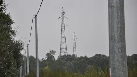 Enel Distribuție Dobrogea construiește o nouă linie de medie tensiune în Delta Dunării