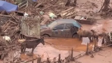 Tara otravita de mineritul iresponsabil (Video)