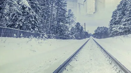 Principala arma a companiilor impotriva atacurilor cibernetice