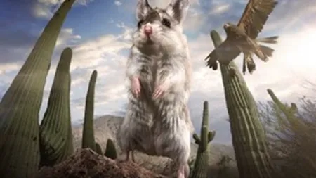 BBC Earth lansează în premieră Regate Ascunse