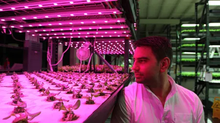 BBC Earth difuzeaza joi un documentar despre mancarea viitorului