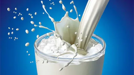 Lactalis ar putea cumpara 70% din actiunile Albalact