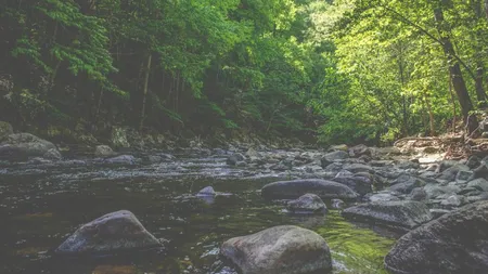 Petitie impotriva construirii unei microhidrocentrale pe Nera