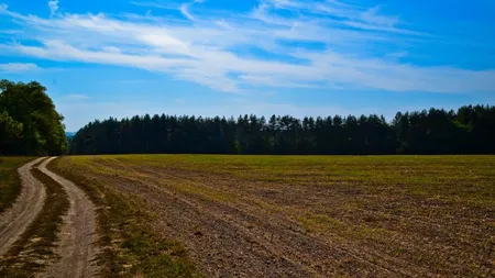 Noua formă de acaparare a terenurilor agricole de către străini