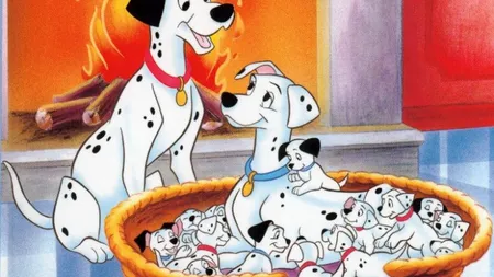 Programele Disney, din nou la TVR