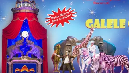 Circul Globus: Noutatile editiei a XIV-a