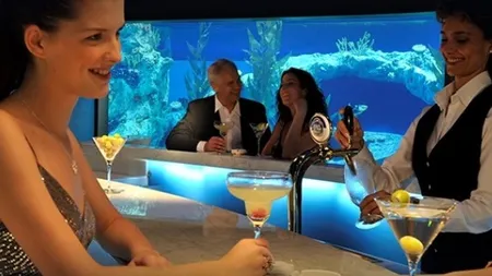 Mustafa Kadiroglu, proprietar Calypso Tour, a preluat Prestige Tours