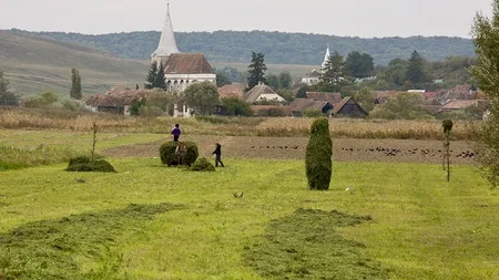 Ferme mici vs ferme mari: De ce ar trebui sprijinita agricultura de semi-subzistenta in Romania