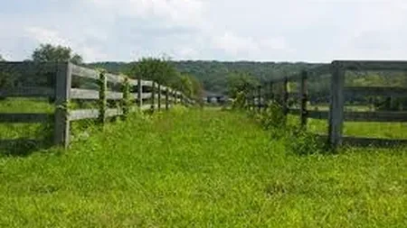 Cel mai mare teren disponibil la vanzare in Romania are 102 hectare. Vezi unde se afla